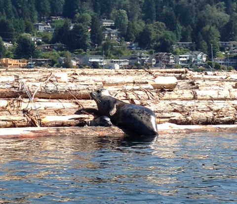 Kayaking, Summer 2013